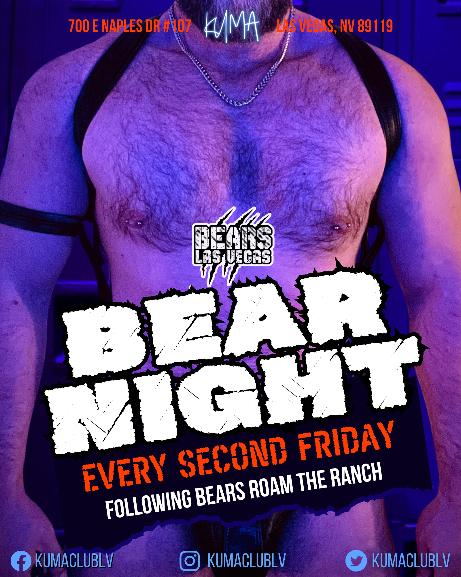 BEAR NIGHT
