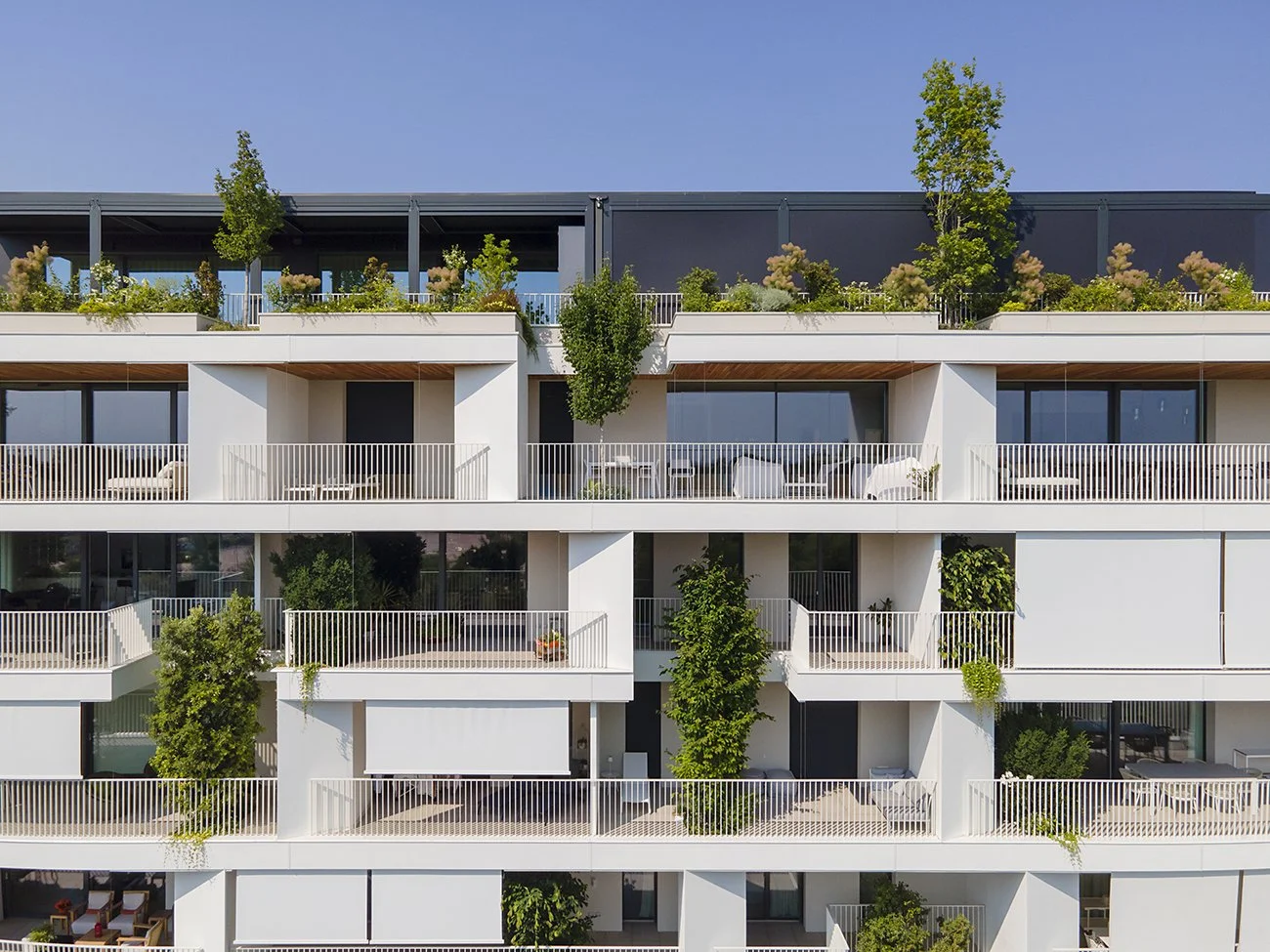 SBA_Ca-delle-Alzaie_ph.Andrea-Sottana_DJI_0403.jpg