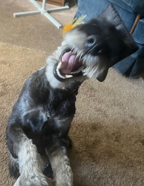 Kira being goofy with her graduation hat!