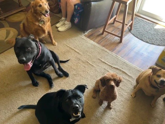 My girls and their friends Teany and Libby
