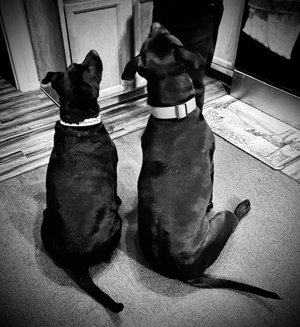 My beautiful girls