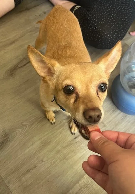 Kevin/Chico living his best life with his loving family
