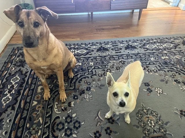 Miss Chloe and Baby Lady