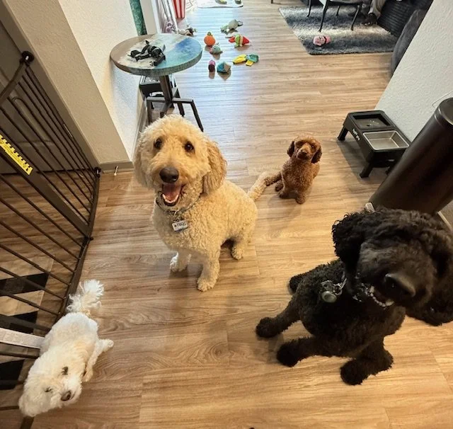 Shorty, Calvin, Teany and Krew