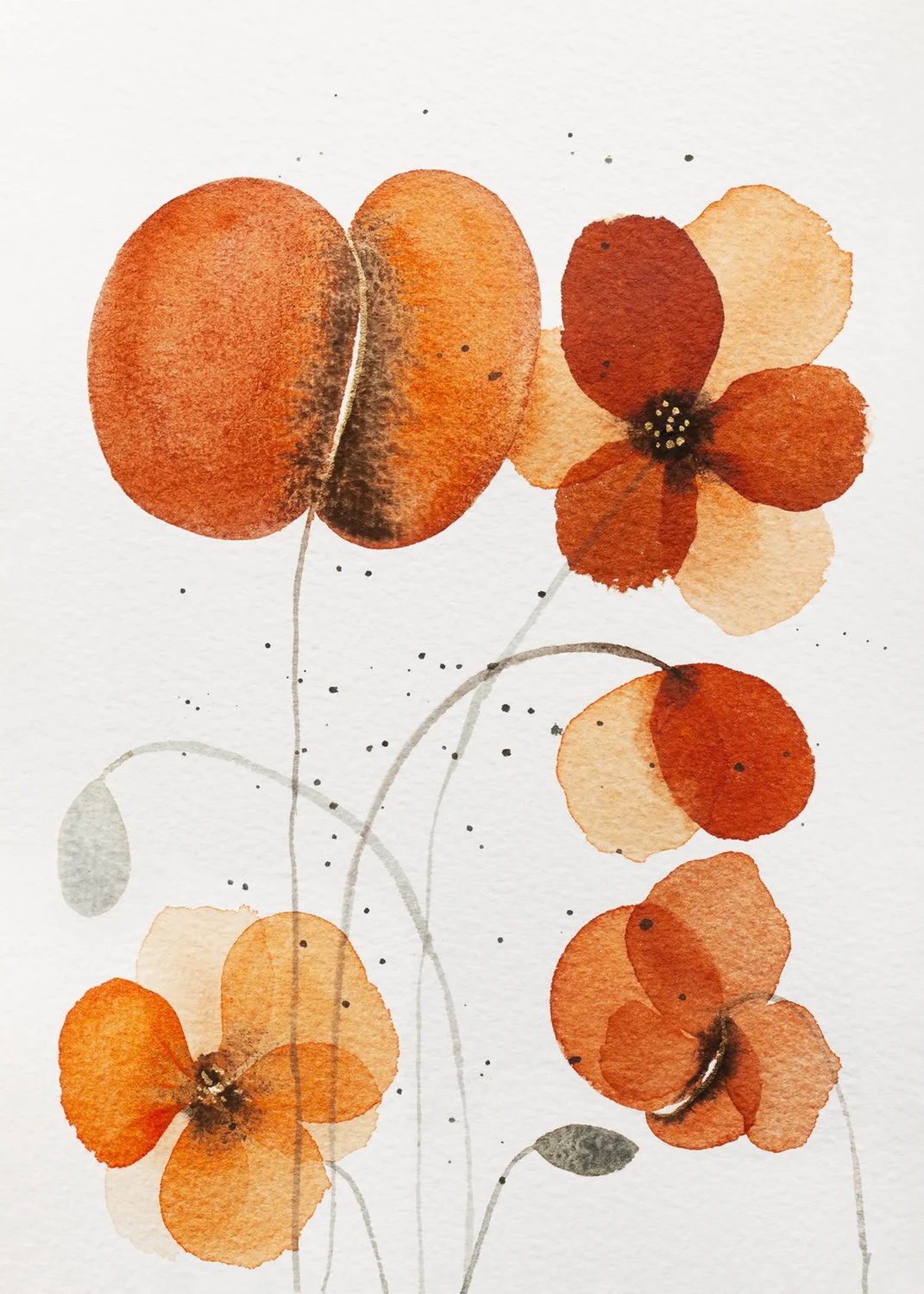 Watercolor painting of orange and red poppies with delicate stems and leaves.