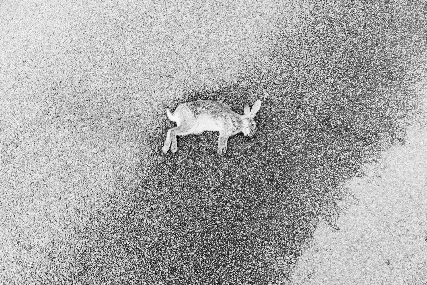 Photographing death on Gotland