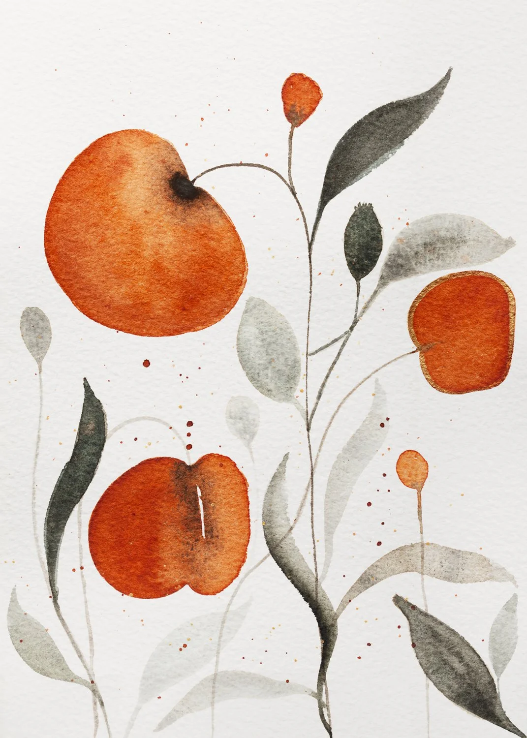 Watercolor painting of poppies and leaves on a white background.