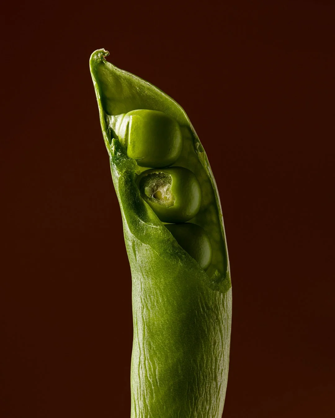 Arbetsfil_Still-life-photography_Sugar-snap_Sabina-Hannila_002.JPG