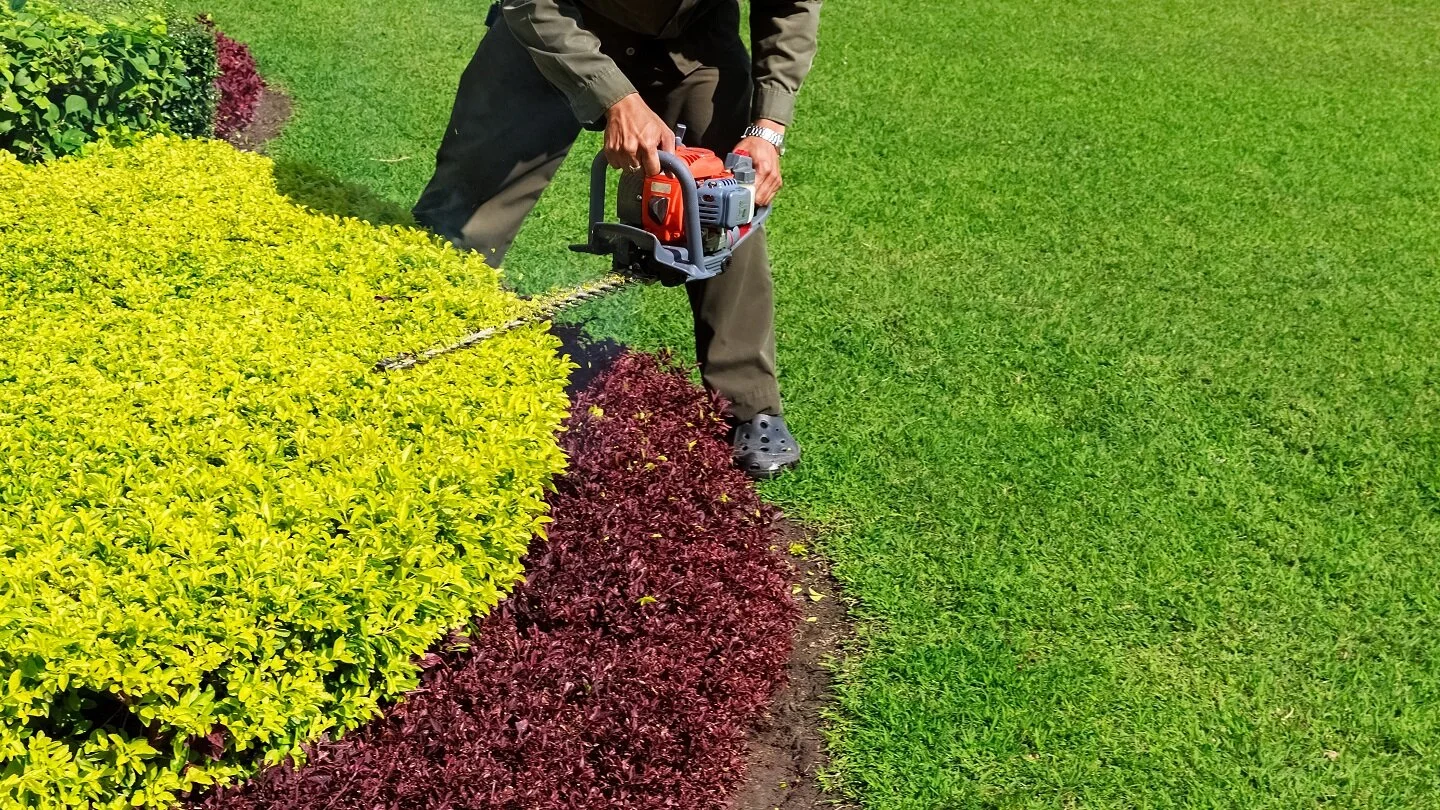 Top lawn care in Saline MI