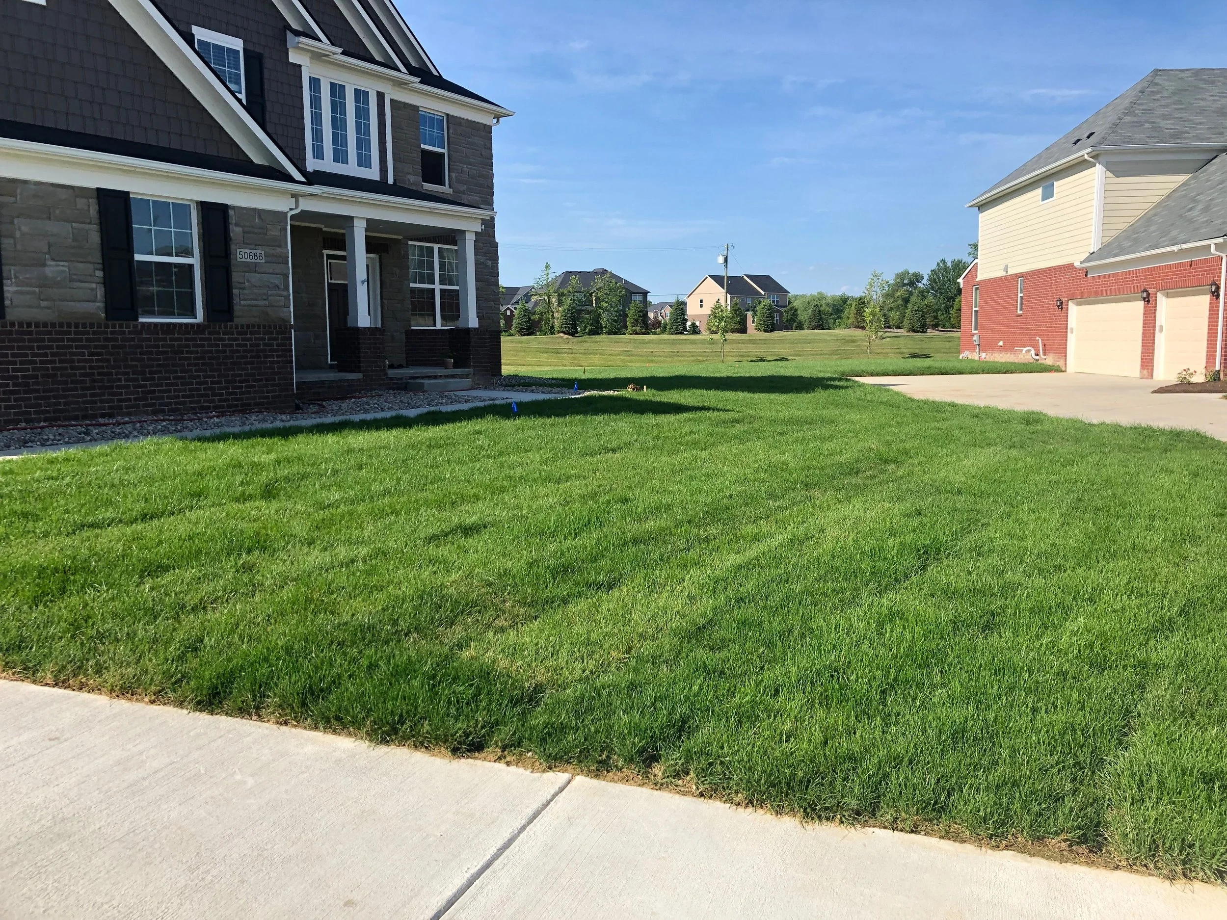 Keep Your Landscape Design in Shape with Professional Lawn Care Services in the Green Oak Township, MI, Area 