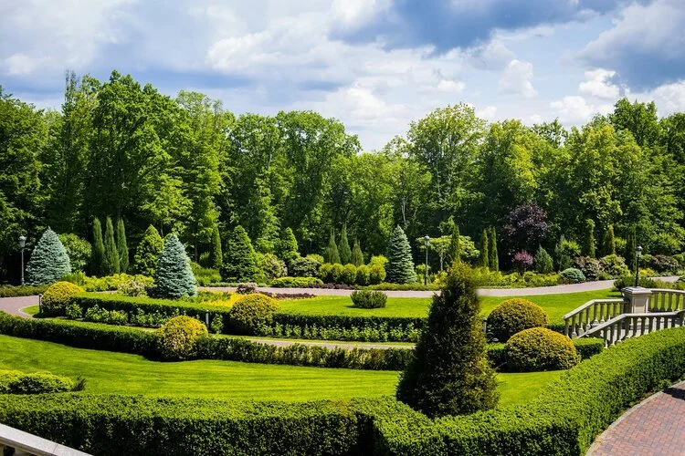 From Design to Maintenance: Full-Service Commercial Landscaping in the Canton and Dexter, MI Areas