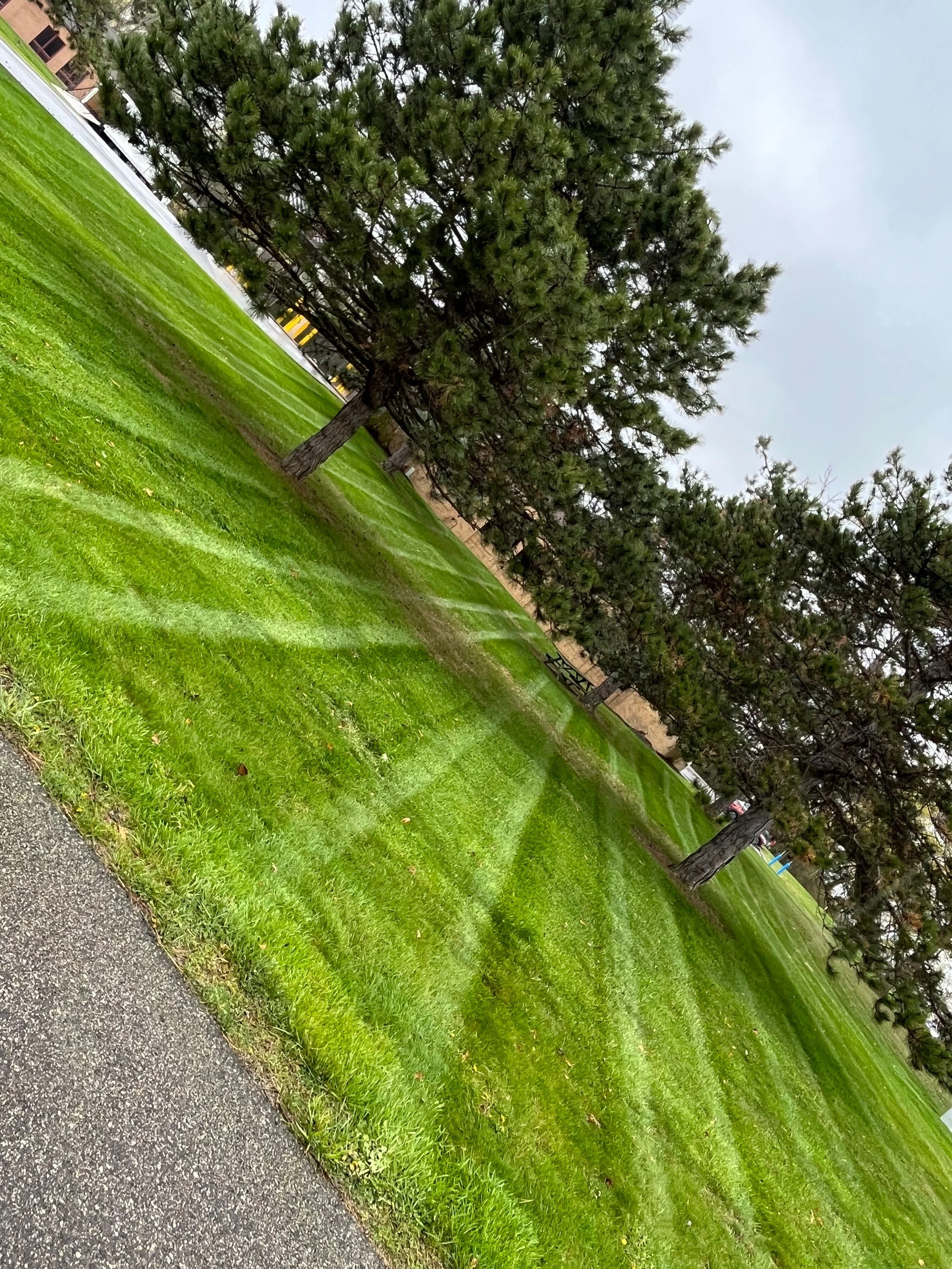 Why Choose a Company With an Excavation and Lawn Care Team in the Northville, MI Area