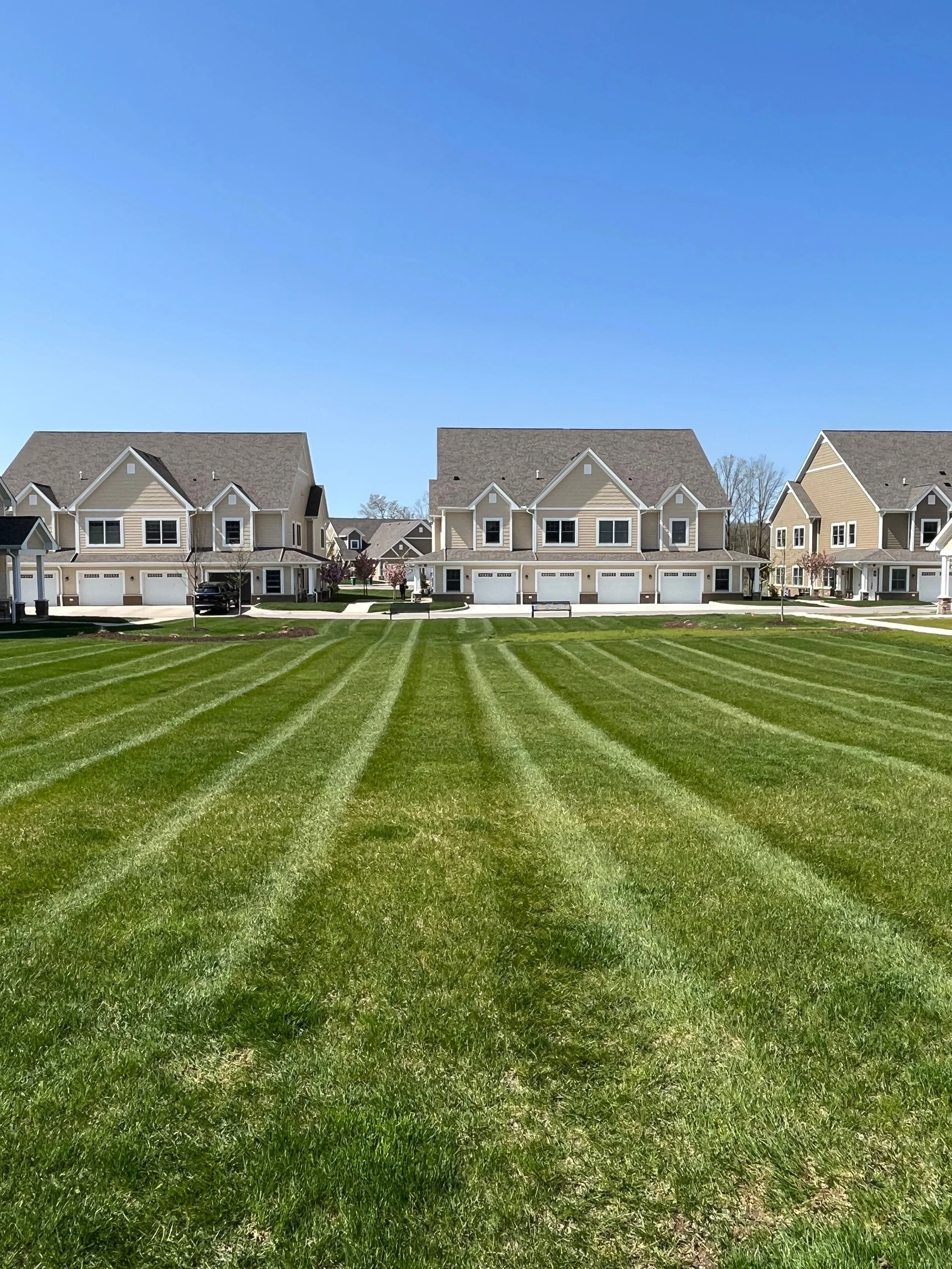 Achieve a Picture-Perfect Lawn With Effective Lawn Care in the Saline and Ann Arbor, MI Areas