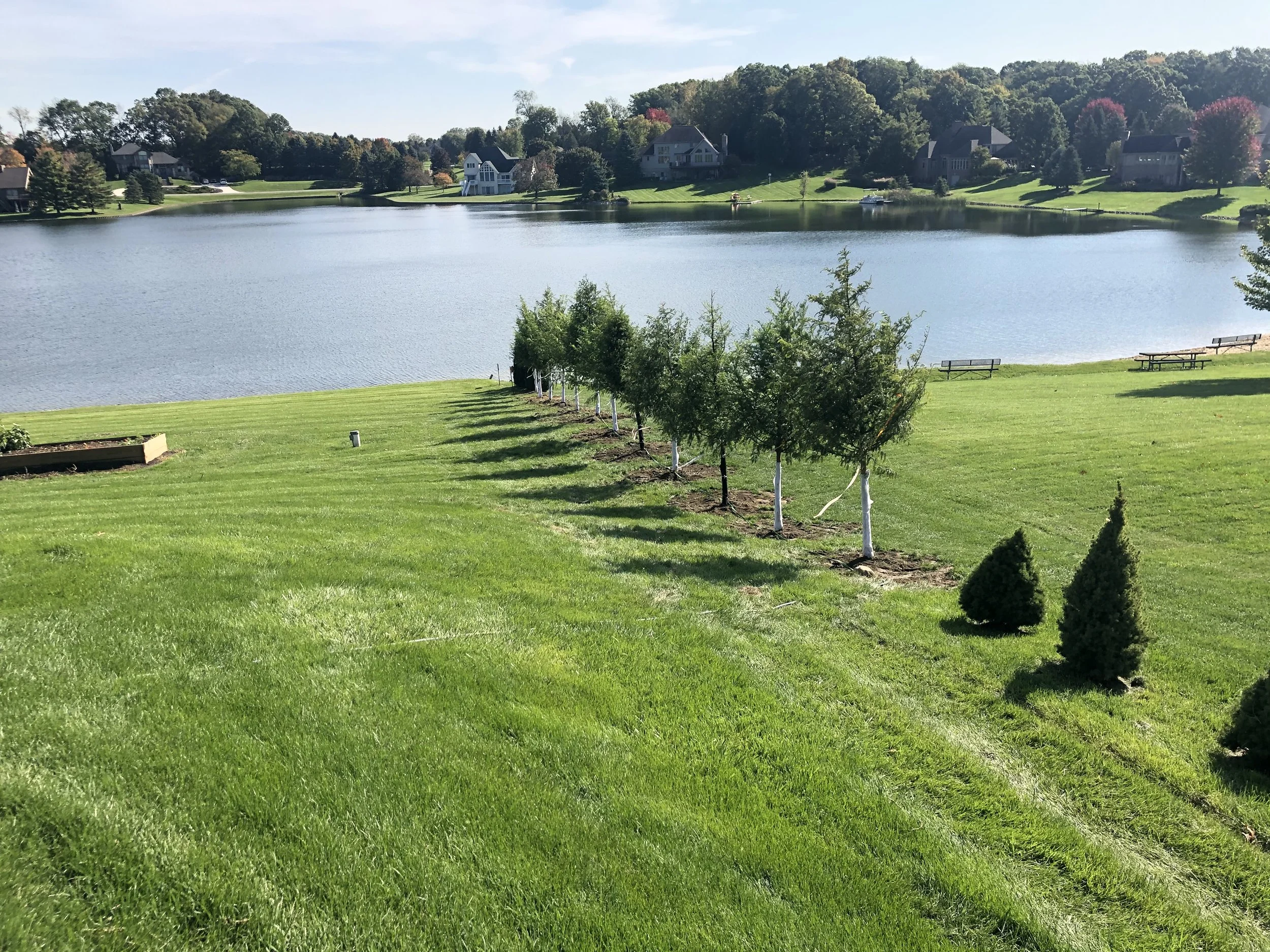 Expert Lawn Care Services for Northville and Plymouth, MI: Keep Your Grass Green and Healthy