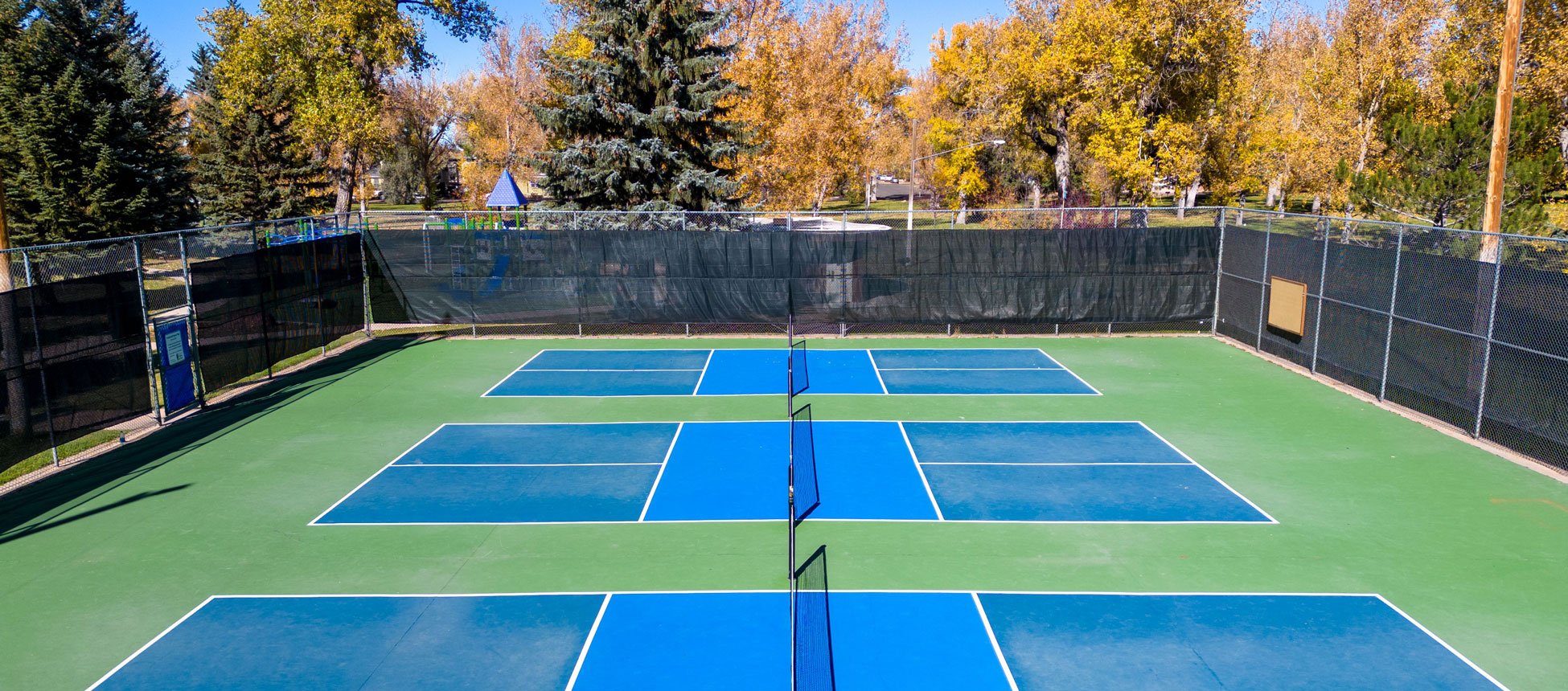 pickleball-court-in-park.jpg