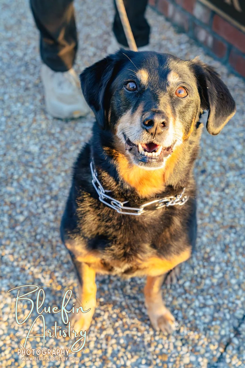 49 DMC Inc Bluefin Artistry Oct DSC09138.jpg