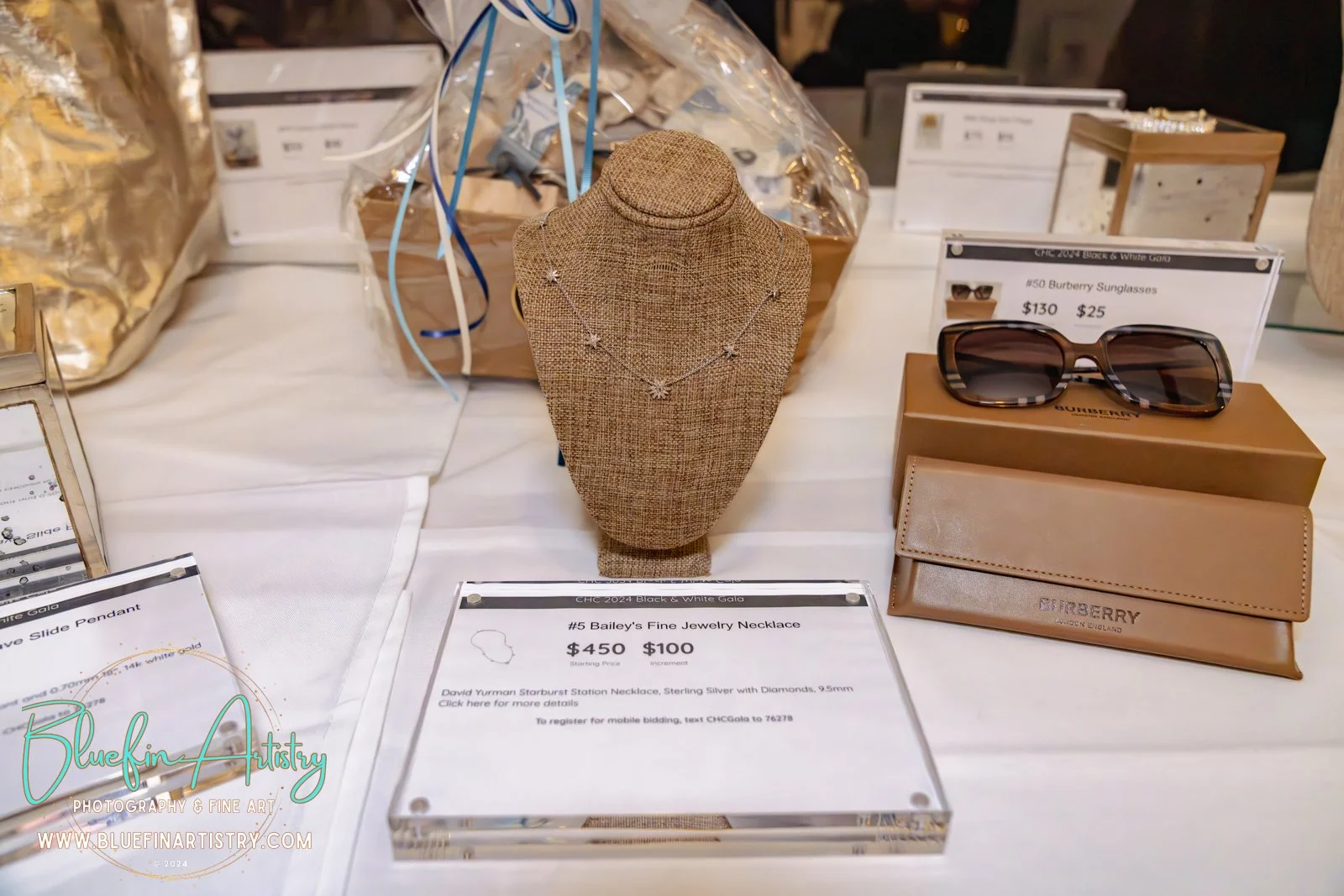 134 CHCF Gala_Bluefin Artistry_DSC04748.jpg