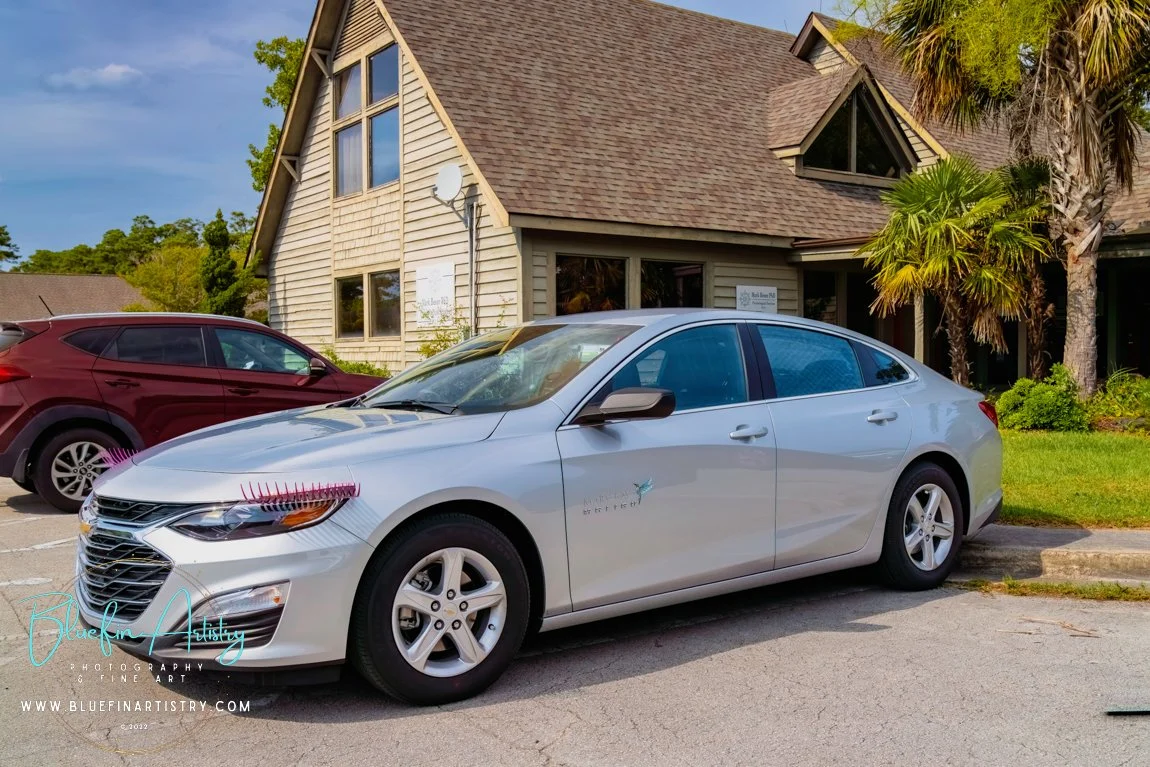 14 Debbie Fisher MaryK_DSC09439.jpg