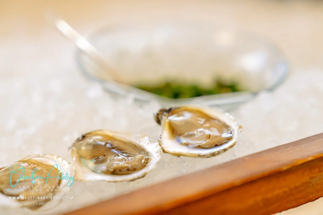 23 NCCF_Bluefin Artistry_DSC00053.jpg