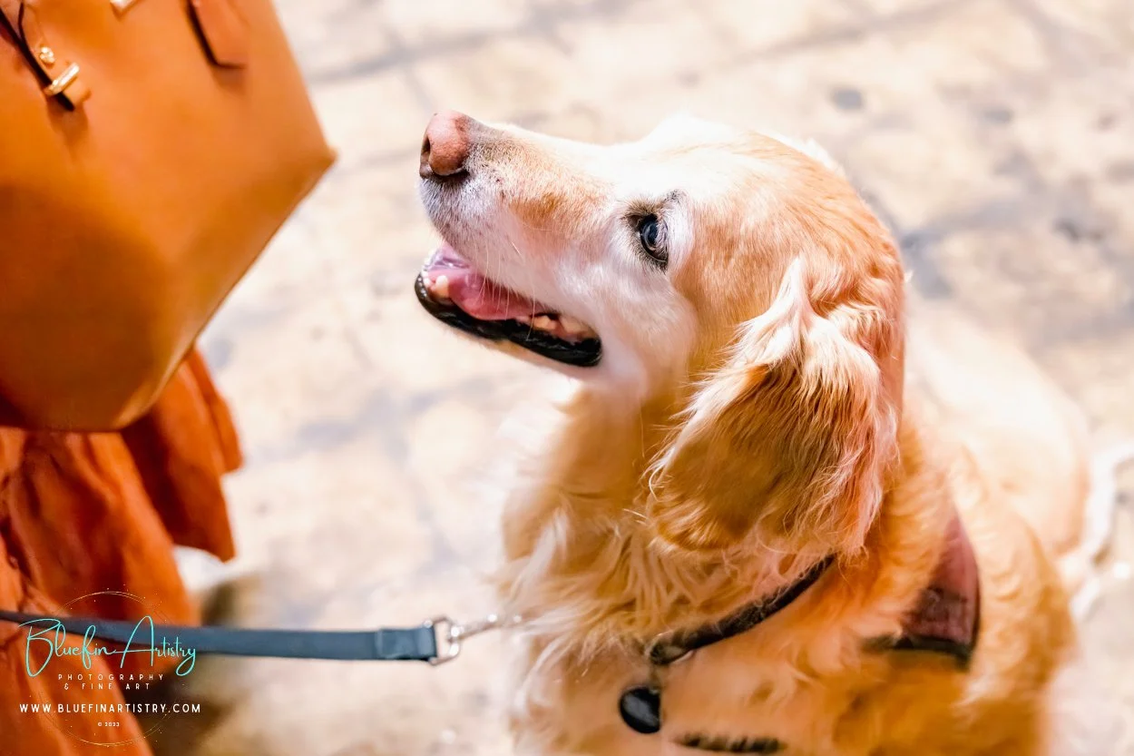 7 CCWB April 2023_DSC09939.jpg