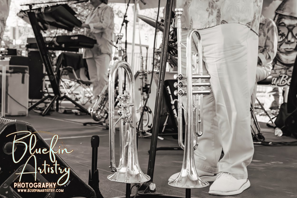 86 DMC Inc Bluefin Artistry Oct DSC09079.jpg