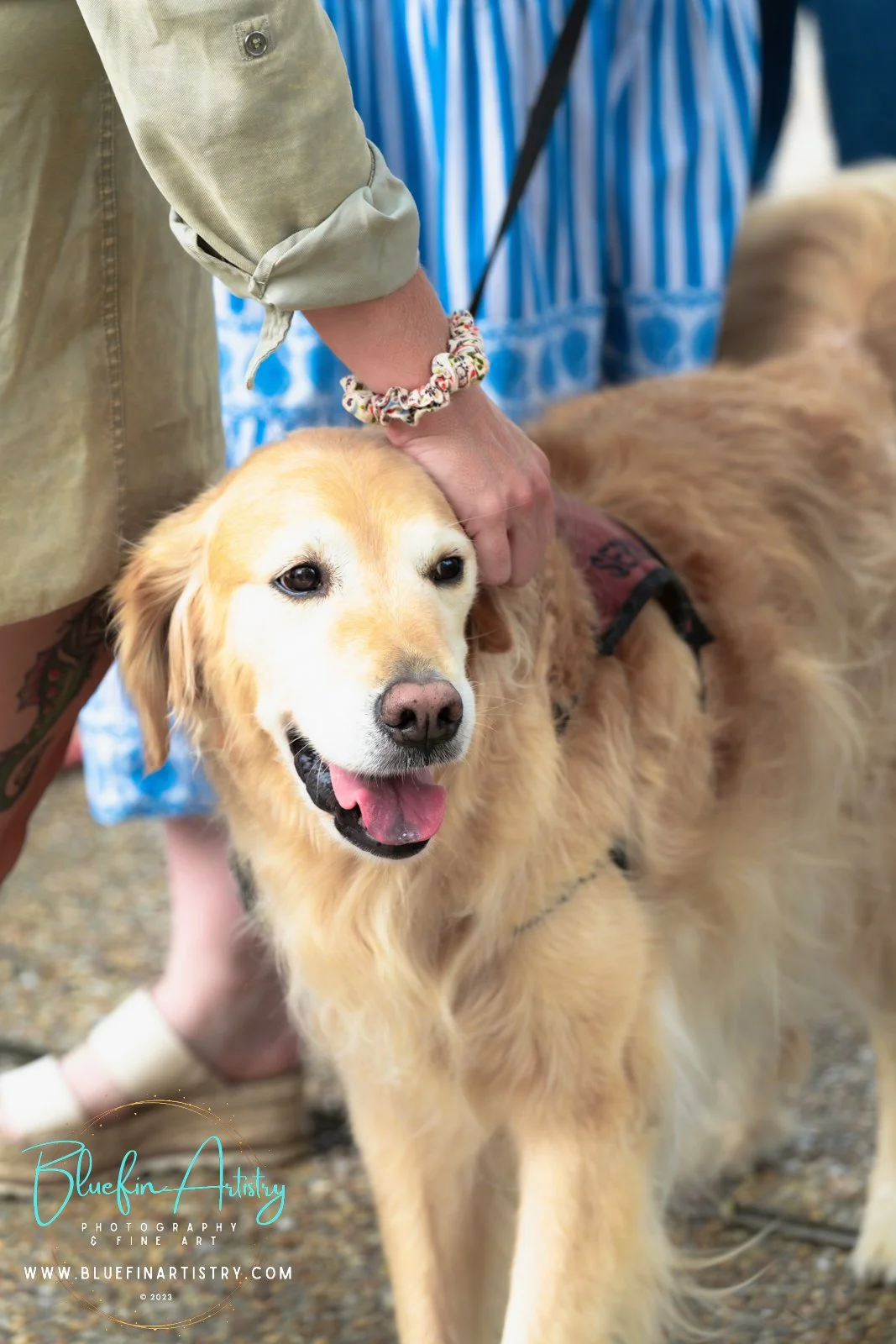 30 CCWB September_DSC04249.jpg