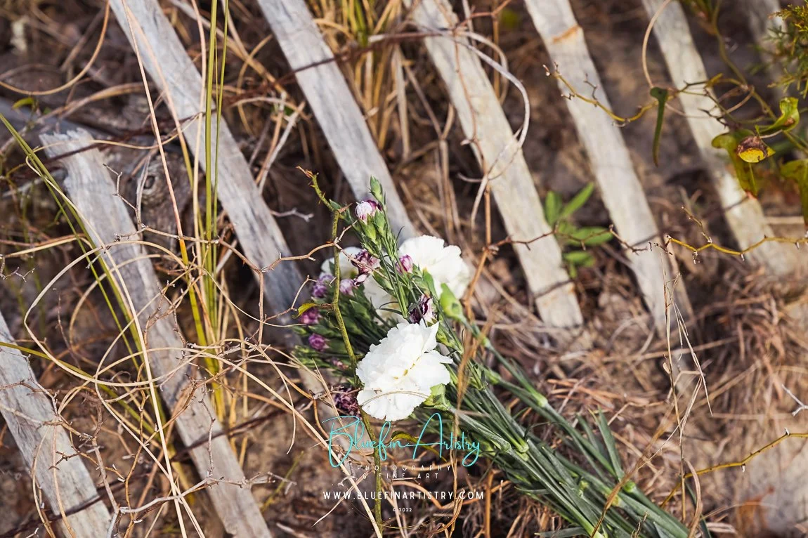 DSC09438Elizabeth Knight_Forest.jpg