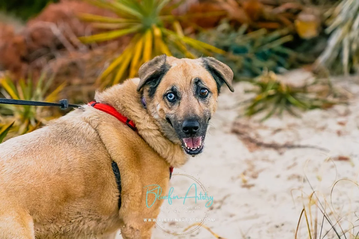 DSC00385Elizabeth Knight_WWII Bunker.jpg