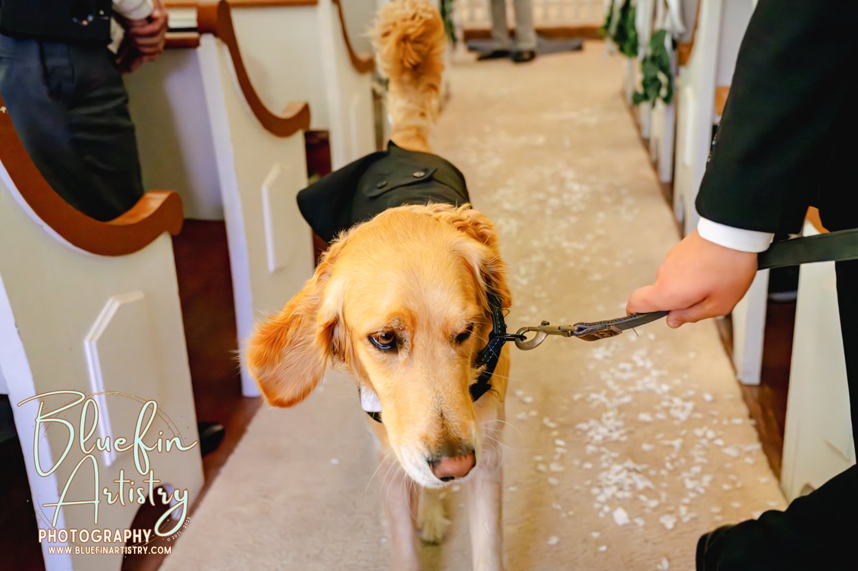 Wedding photography in Smyrna and Marshallberg, North Carolina. Bluefin Artistry Wedding Photographer in Eastern North Carolina.
