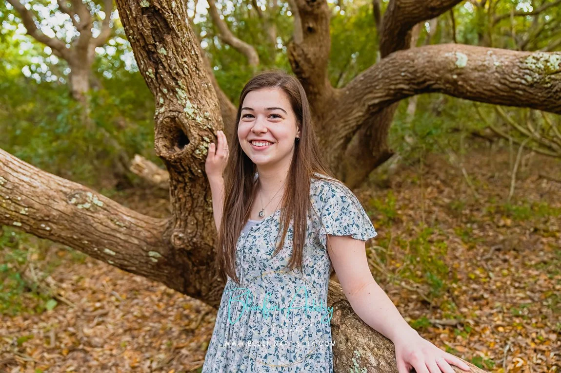 DSC09532Elizabeth Knight_Forest.jpg