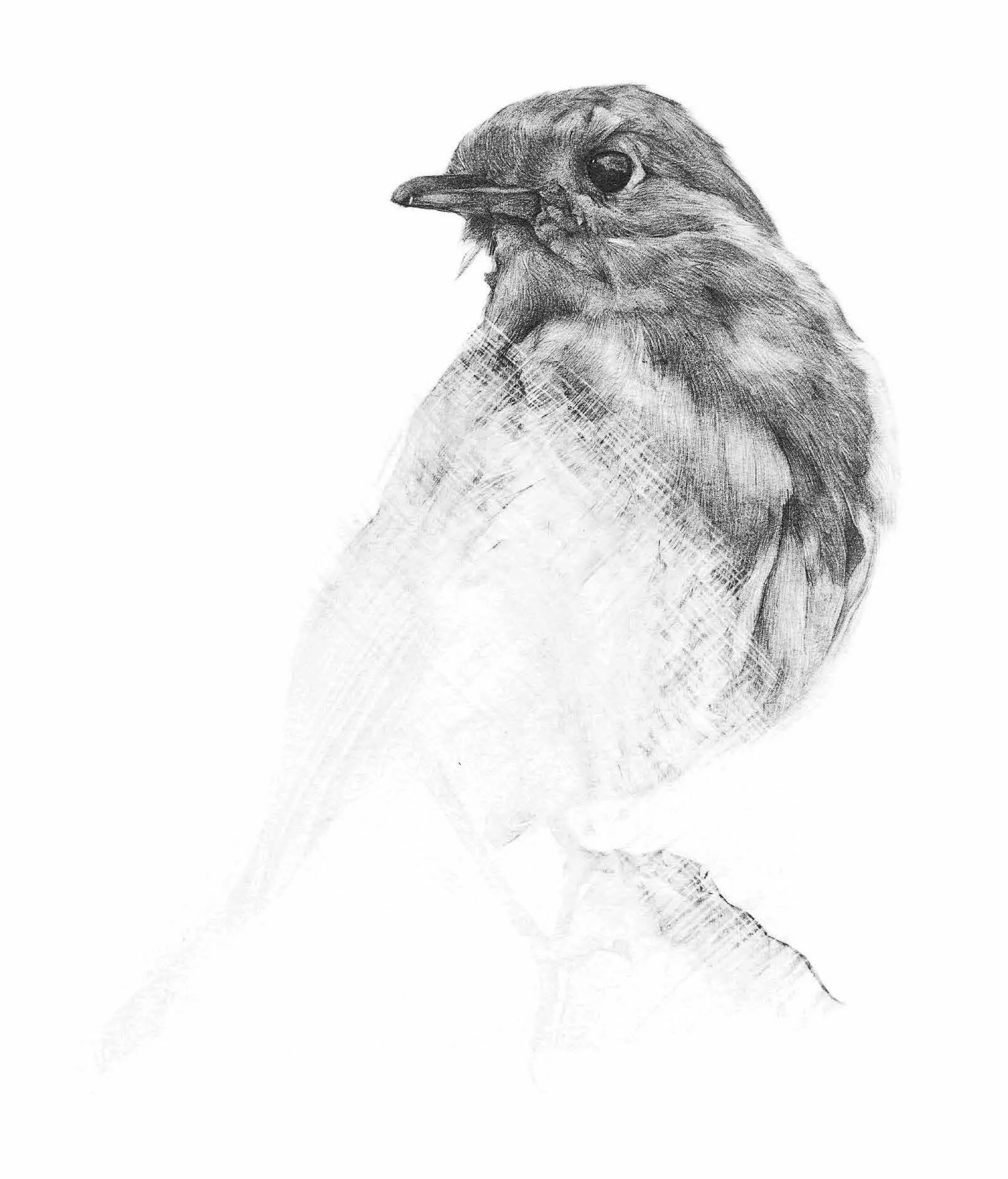 Robin — Windows of the Soul