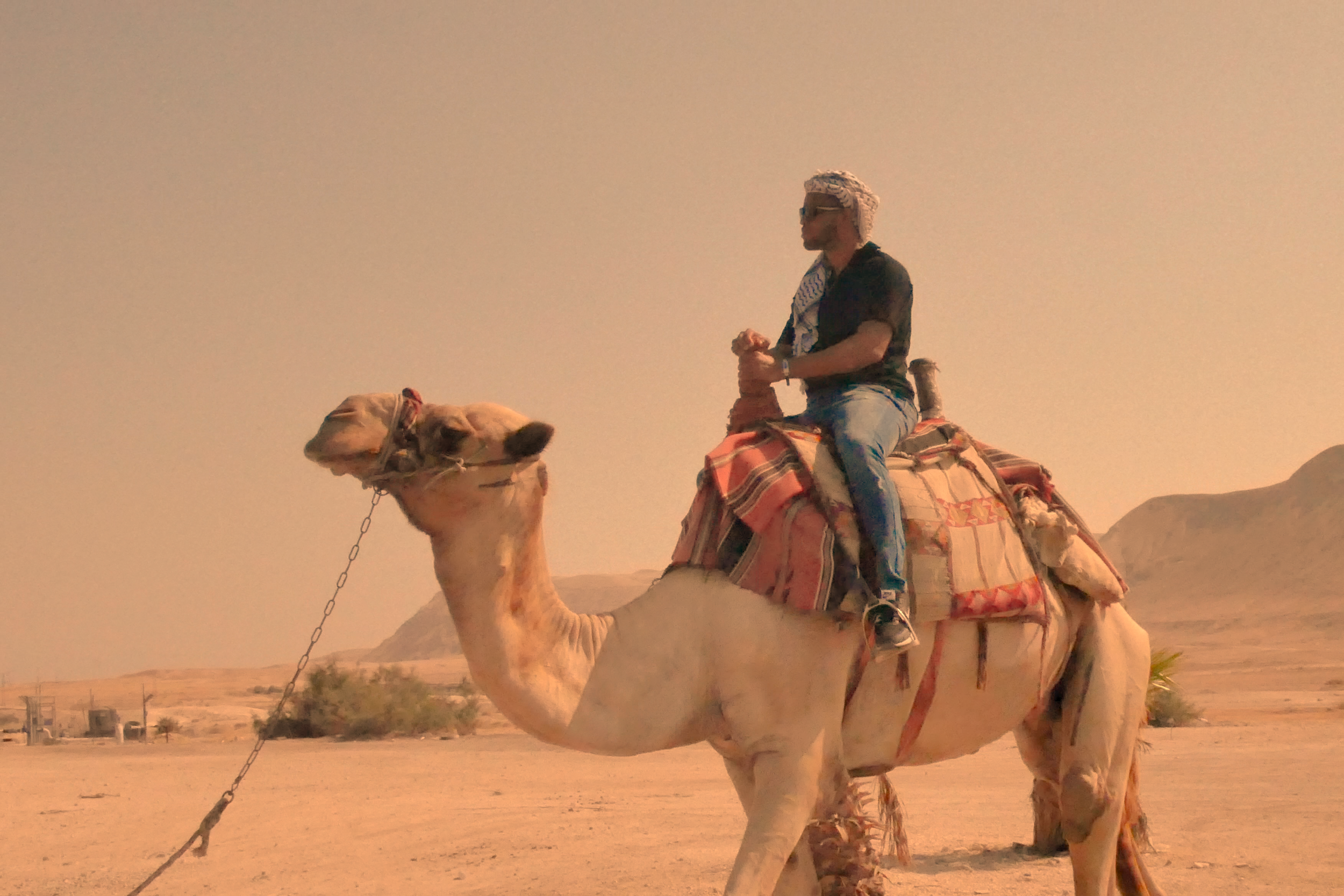 Robinson on Camel0.png