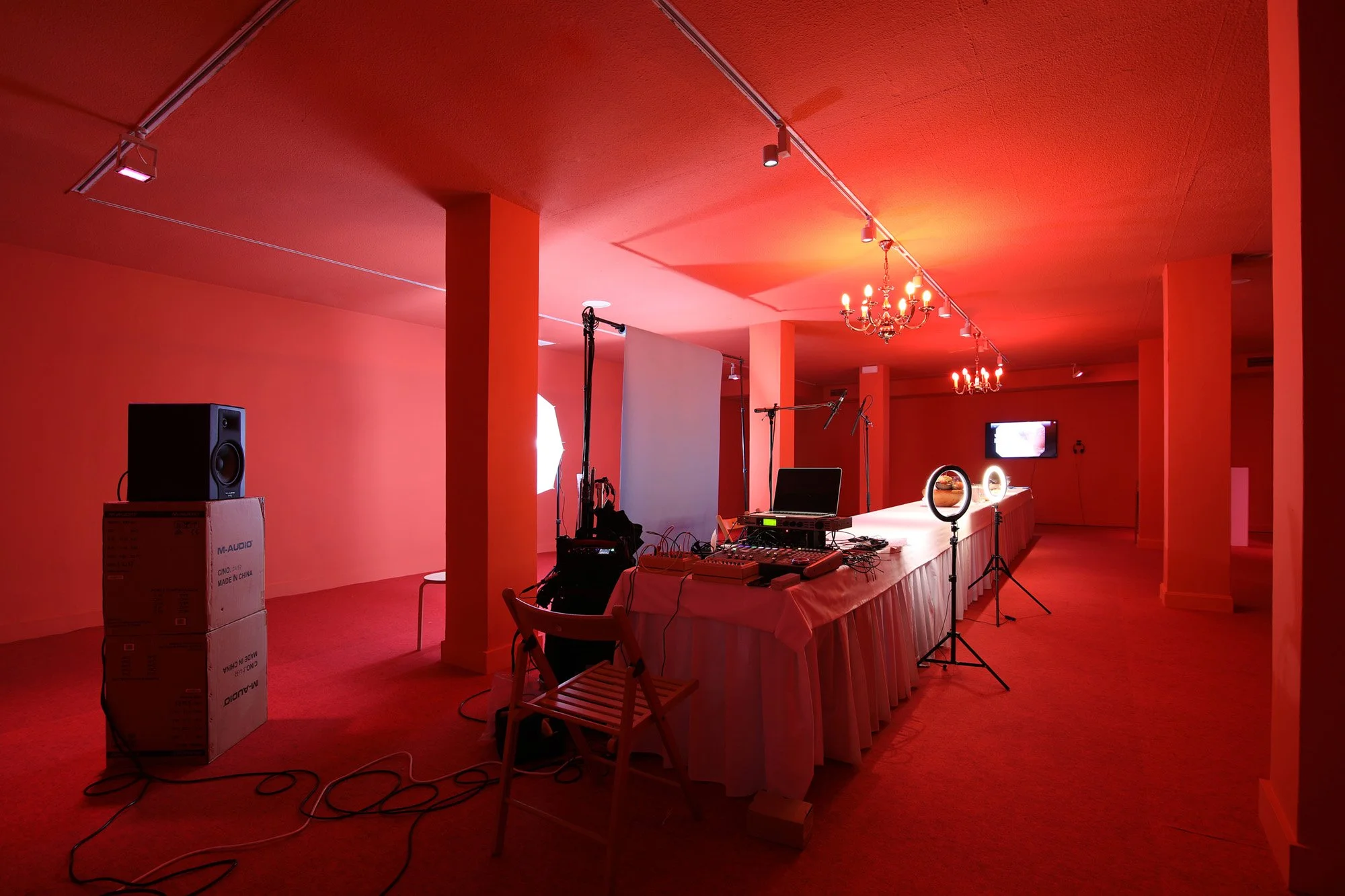 Cómete_la_naturaleza_muerta_Sue_Ponce (46).jpg