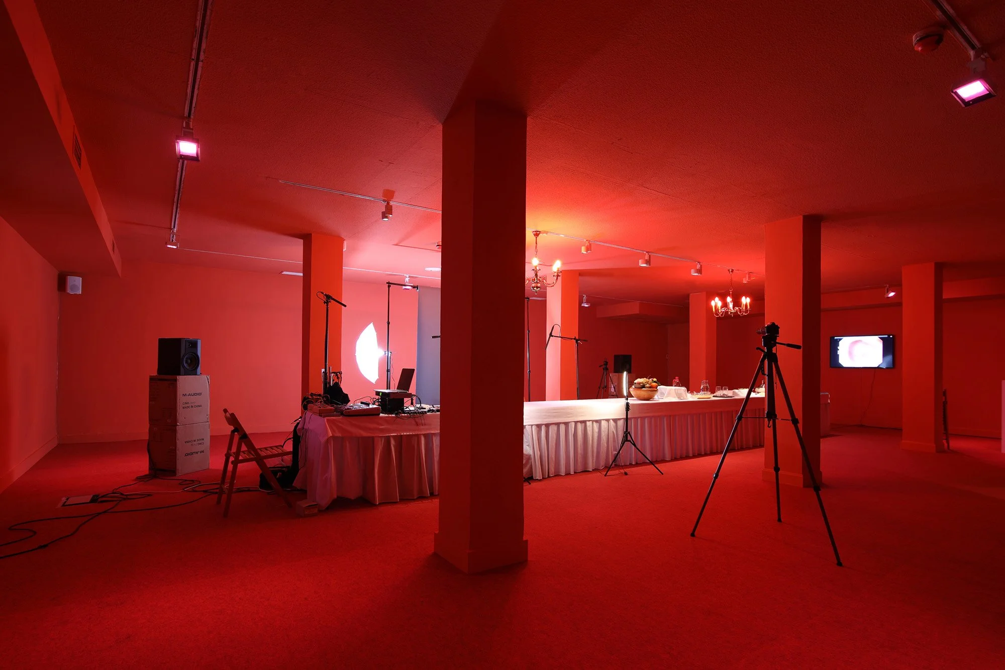 Cómete_la_naturaleza_muerta_Sue_Ponce (47).jpg