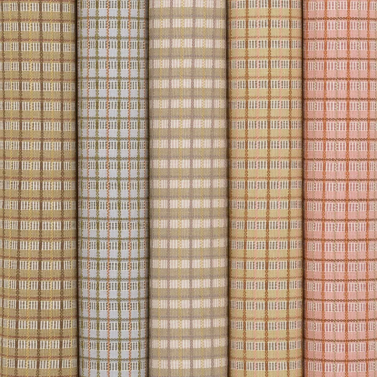 WATTLE ALL COLOURWAYS | WILD ABANDON COLLECTION | A RUM FELLOW (1).jpg