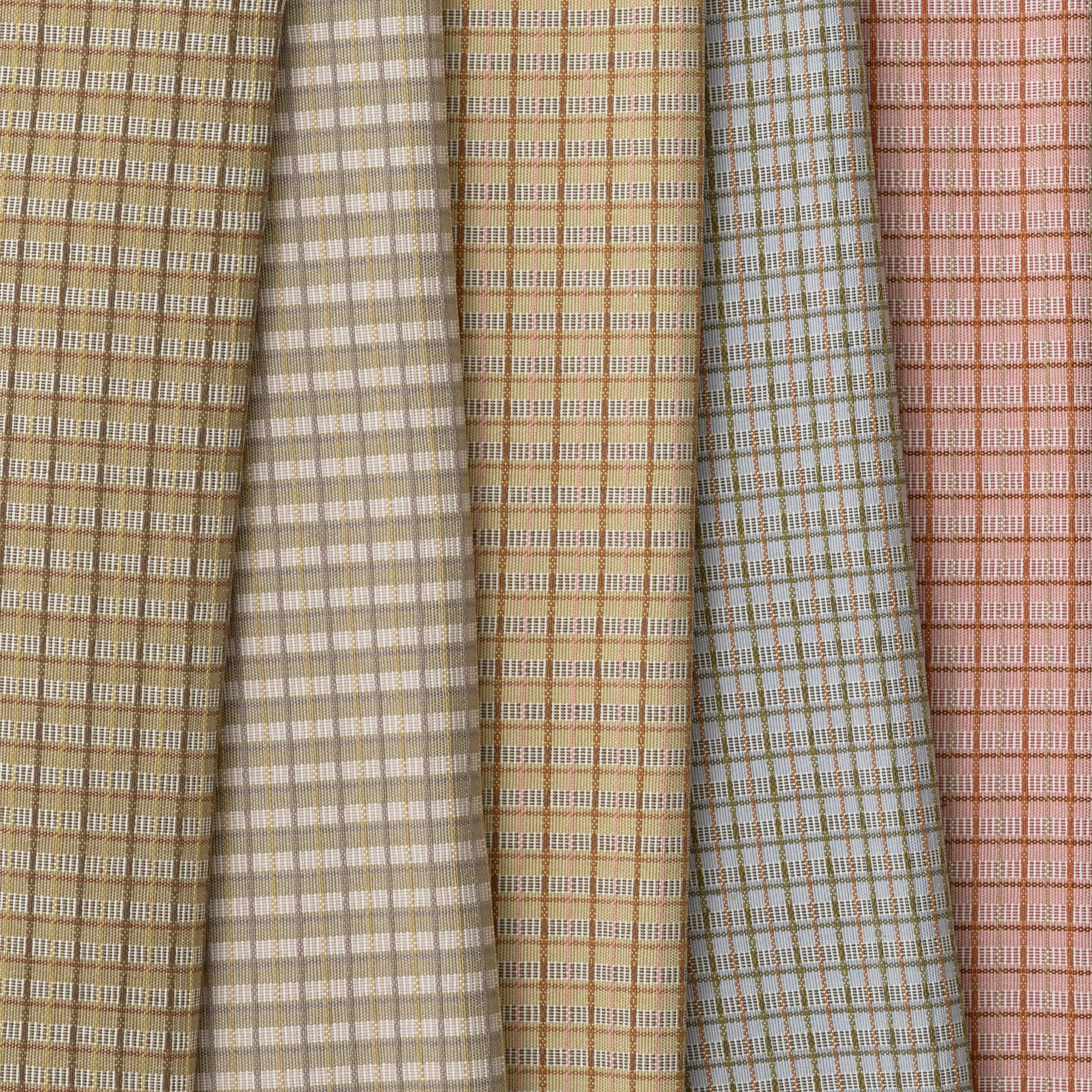 WATTLE ALL COLOURWAYS | WILD ABANDON COLLECTION | A RUM FELLOW (8) -HR.jpg