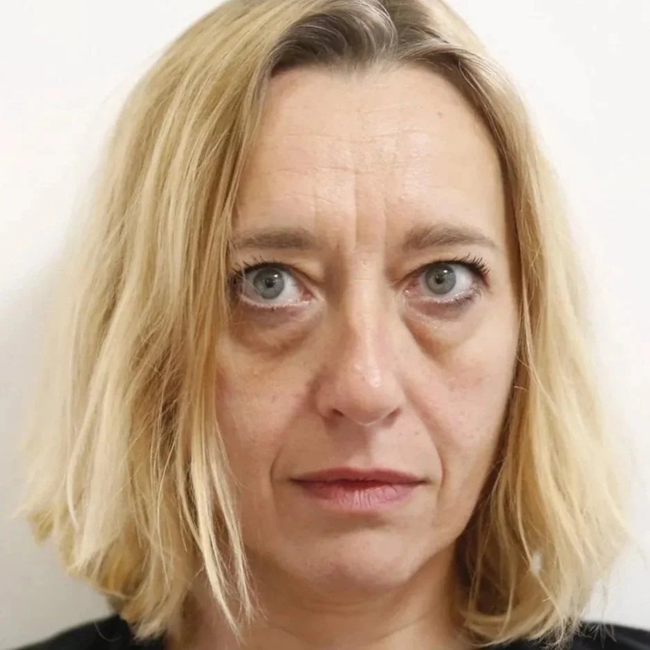 Virginie Despentes, Vernon Subutex