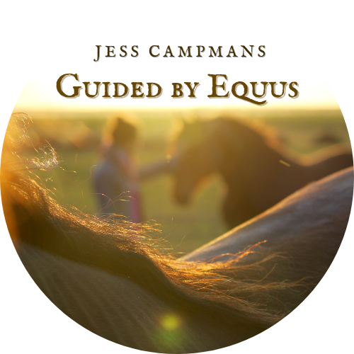 HorseWisdom Insights  GUIDED BY EQUUS