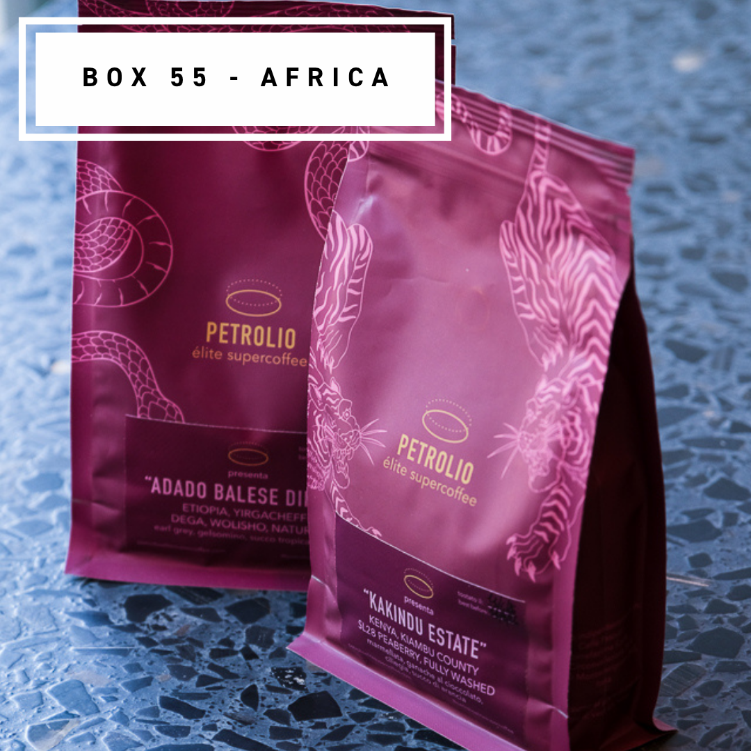 Box 55 Africa