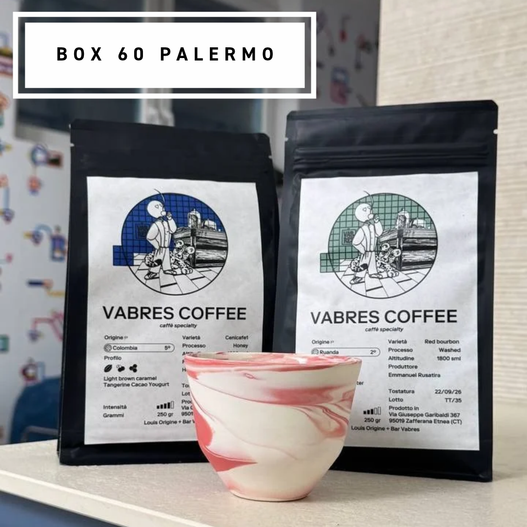Box 60 PALERMO