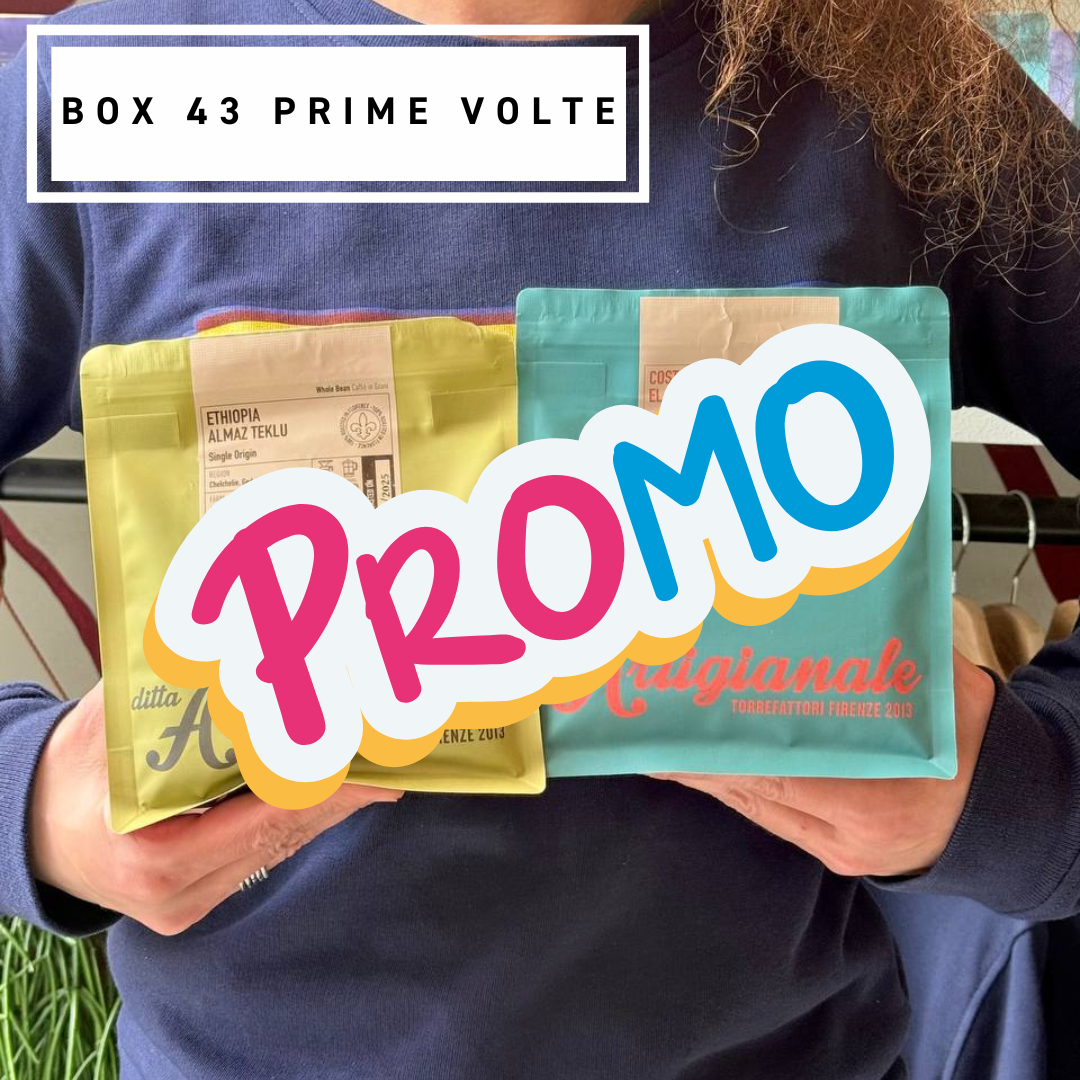 PRIME VOLTE box 43
