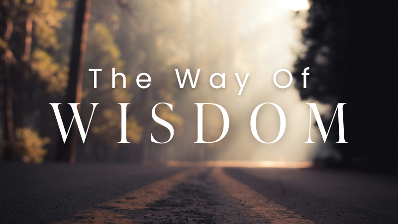 Public Wisdom episode artwork