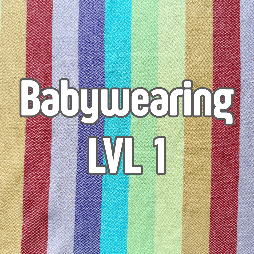 Babywearing Level 1: Try All the Wraps!!