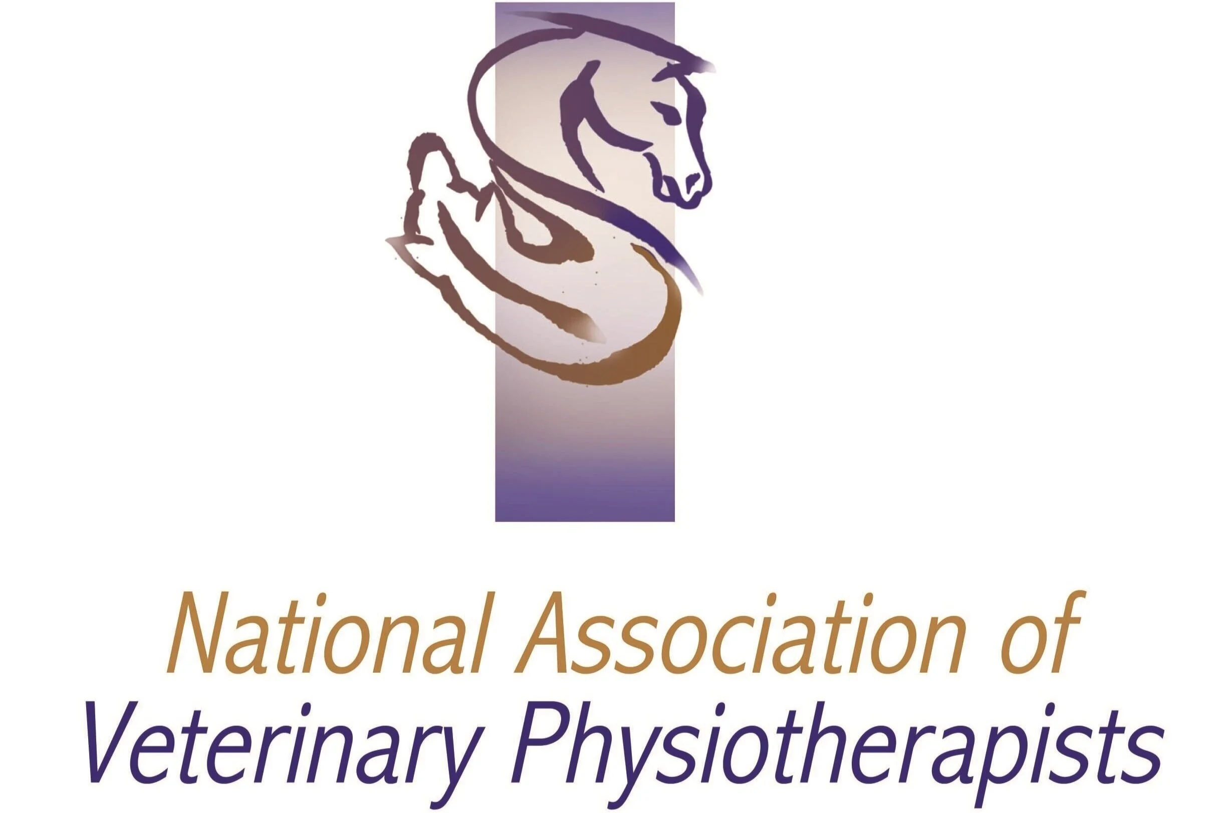 Kayleigh Vet Physio | Canine Physiotherapy in Hampshire