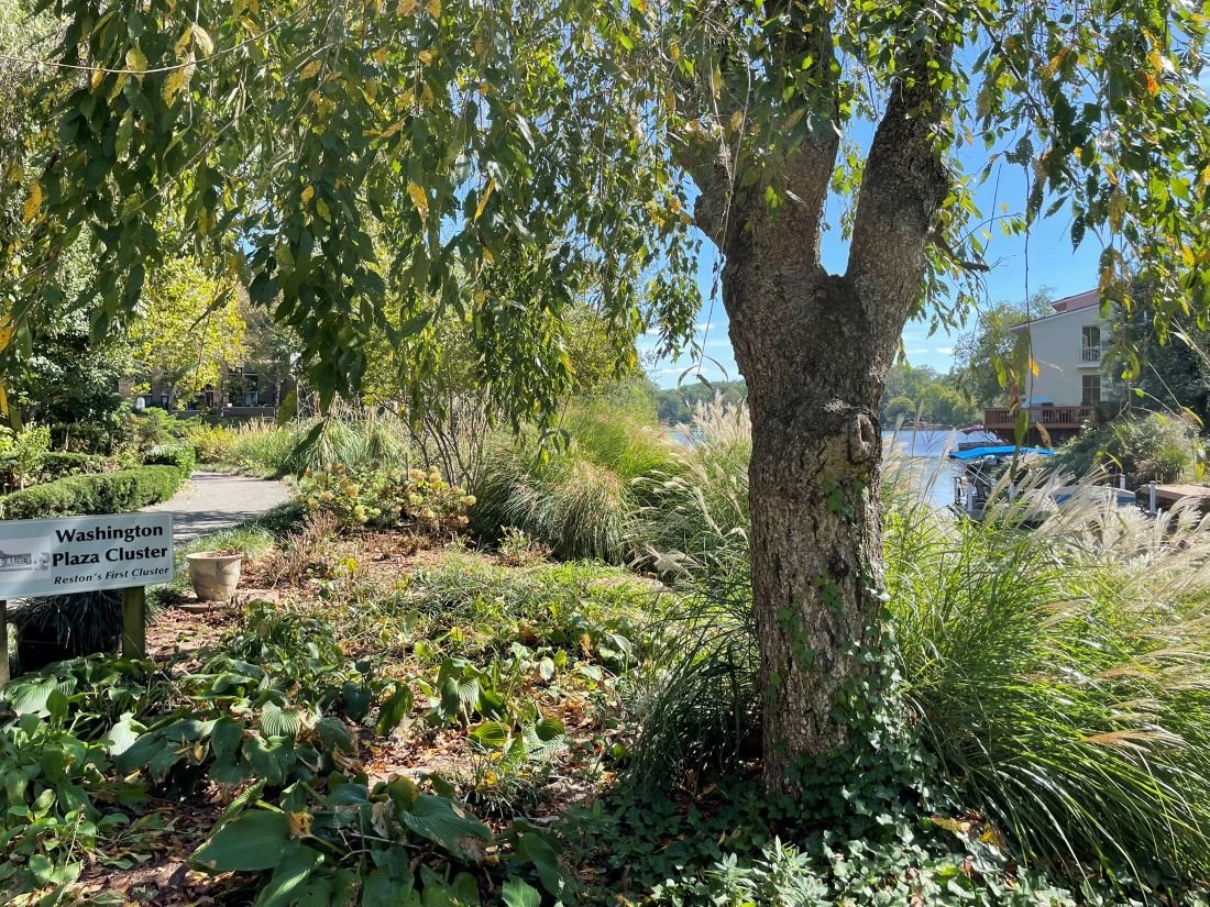 Reston Museum: Lake Anne Walking Tour