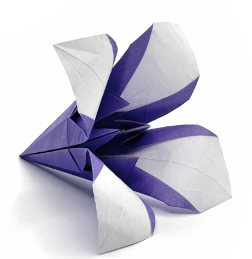 Origami Iris