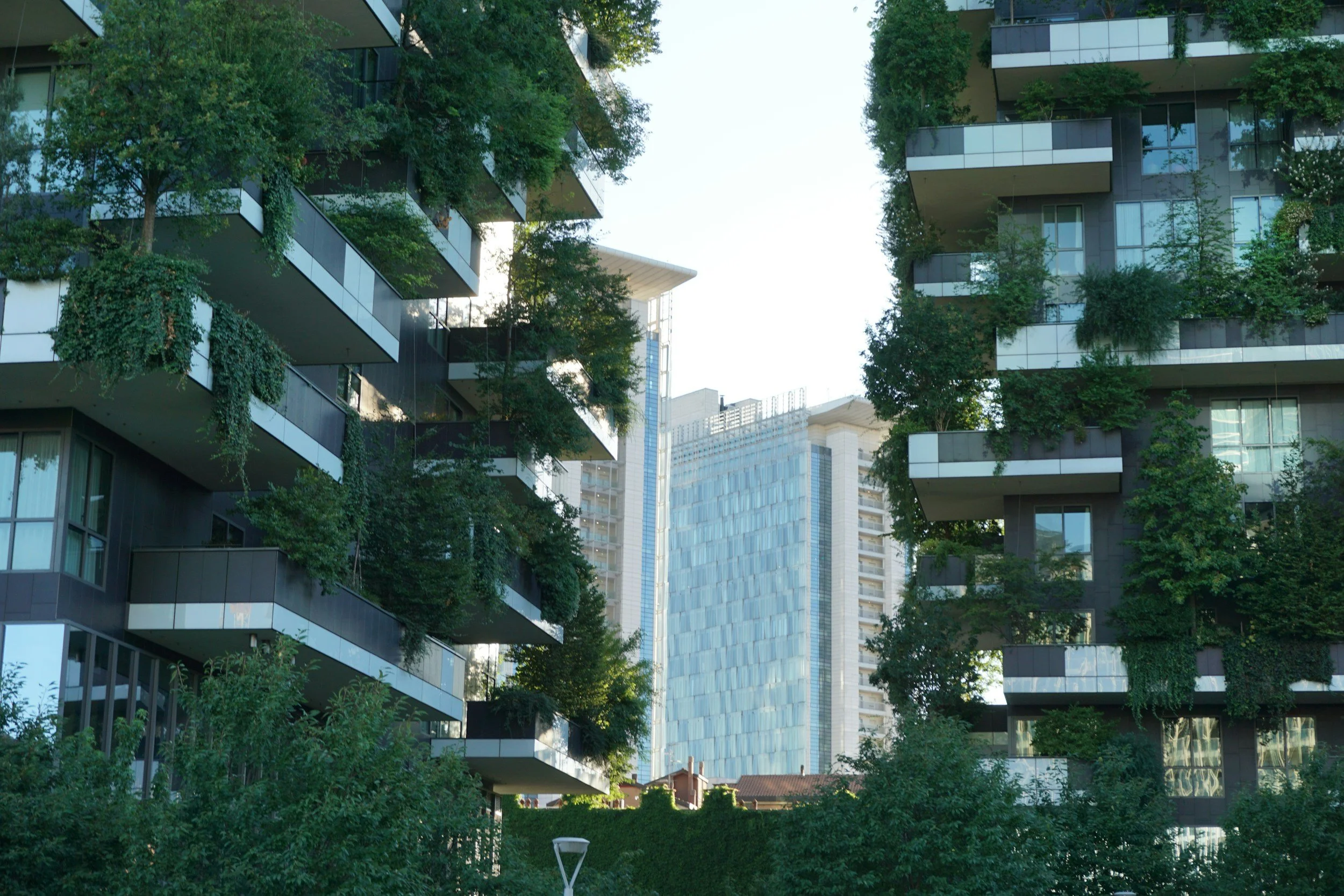Reston Museum: Exemplar of Urban Design