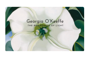 Georgia O’Keeffe: The Brightness of Light