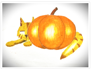 Intro to Drawing: Pumpkin and Cat Napping