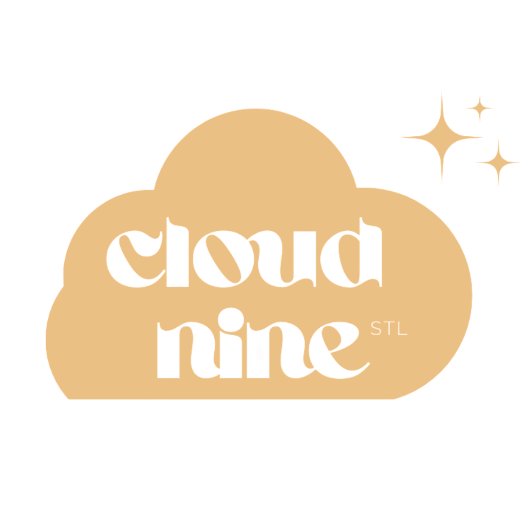 Cloud Nine St. Louis Bounce House Company 